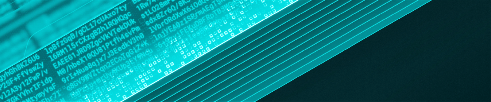 Banner Encryption